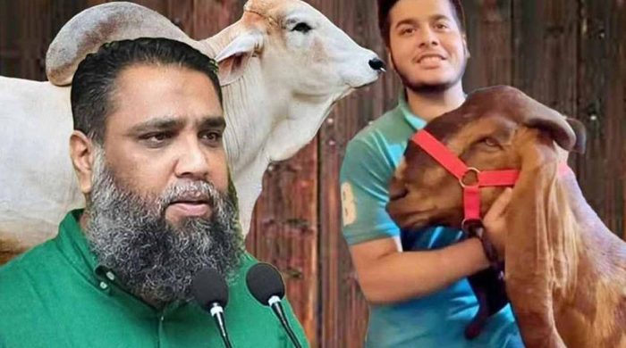 সাদিক অ্যাগ্রোর ইমরান গ্রেফতার